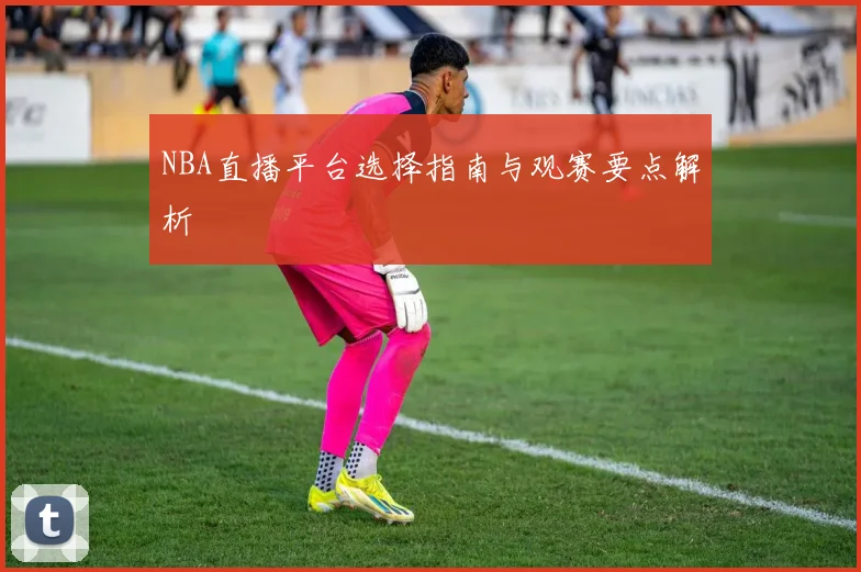 NBA直播平台选择指南与观赛要点解析