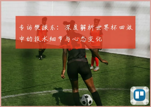 专访樊振东：深度解析世界杯回放中的技术细节与心态变化