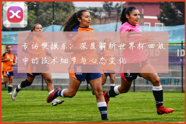 专访樊振东:深度解析世界杯回放中的技术细节与心态变化