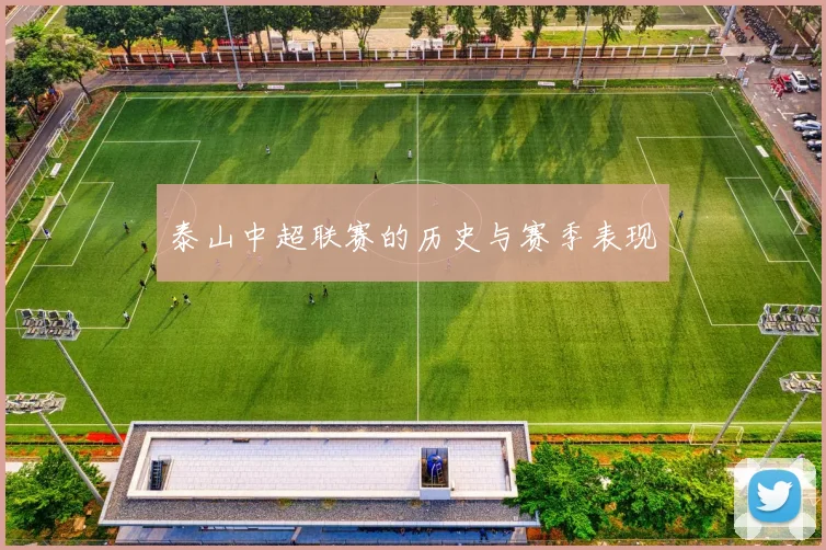 泰山中超联赛的历史与赛季表现