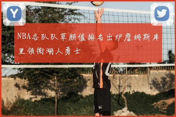 NBA各队队草颜值排名出炉詹姆斯库里领衔湖人勇士