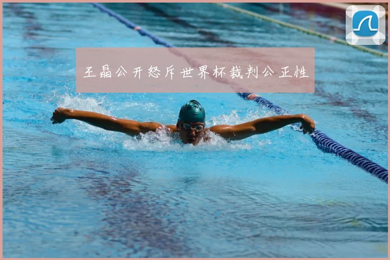 王晶公开怒斥世界杯裁判公正性