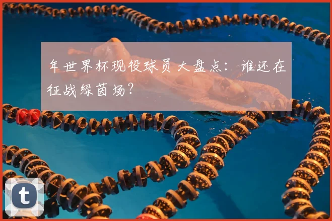 年世界杯现役球员大盘点:谁还在征战绿茵场?