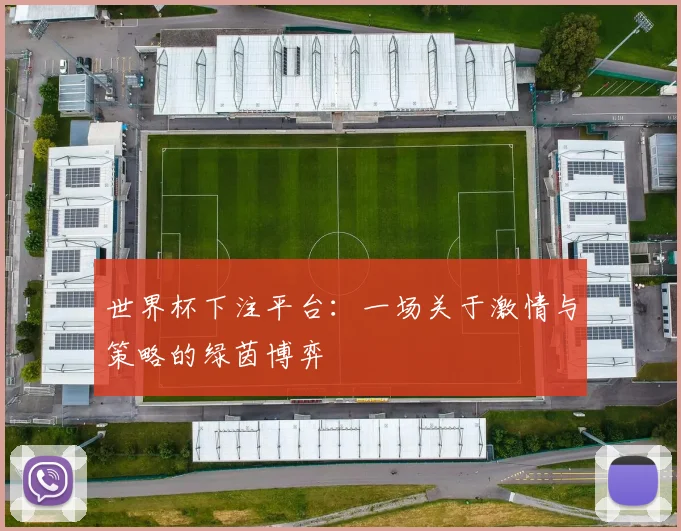 世界杯下注平台：一场关于激情与策略的绿茵博弈