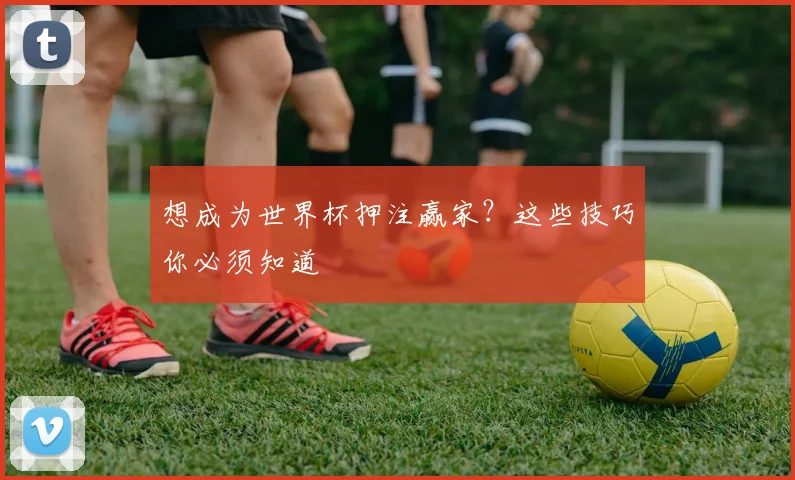 想成为世界杯押注赢家?这些技巧你必须知道