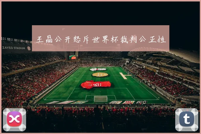 王晶公开怒斥世界杯裁判公正性