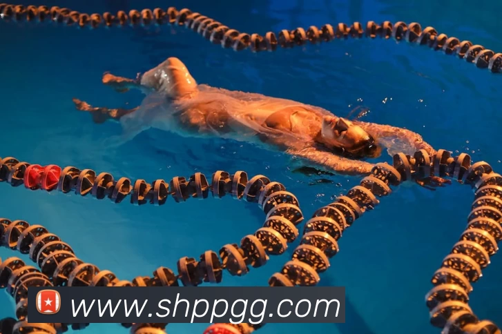 华体会体育平台生态图