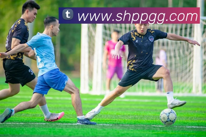 华体会体育APP 封面图